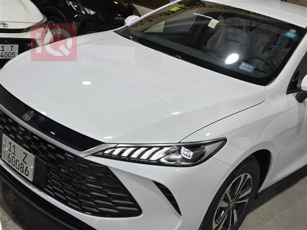 بي واي دي Qin Plus 2025 للبيع في العراق -  بغداد